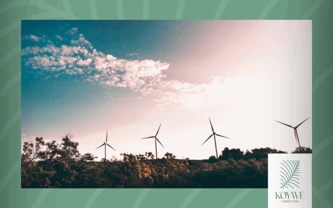 Objetivos de Sostenibilidad: Cómo definir y alcanzar metas efectivas